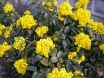DSCN6018.JPG