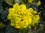 DSCN6019.JPG