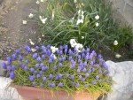 DSCN6017.JPG