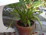 DSCN5952.JPG