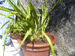 DSCN6153.JPG
