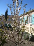 DSC00001.JPG
