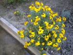 DSCN6032.JPG
