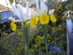 DSCN6034.JPG