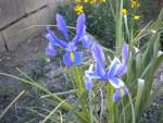 DSCN6035.JPG