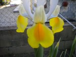 DSCN6039.JPG