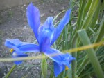 DSCN6038.JPG