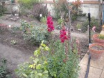 DSCN6040.JPG