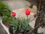 DSCN6042.JPG