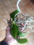 20150413_165514.jpeg