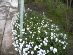 DSCN6044.JPG