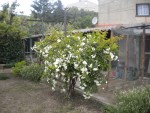 DSCN6047.JPG