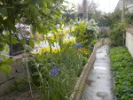 DSCN6048.JPG
