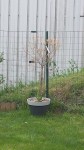 20150417_155745.jpg