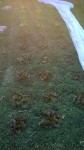 Pas terrible le soleil du matin pour faire la photo.