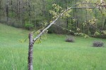 IMG_5340.JPG