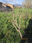 IMG_0327.JPG