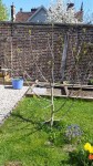 2015-04-20 22.30.54.jpg