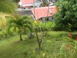 IMG_2941.jpg
