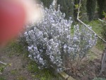 DSCN6025.JPG
