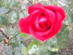 DSCN6073.JPG