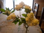 DSCN6080.JPG