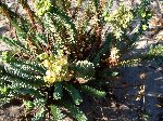 DSC00807.JPG
