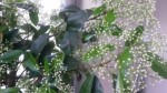 20150424_190920.jpg