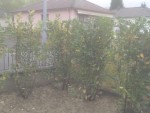 IMG_20150425_103629.jpg