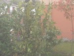 IMG_20150425_103707.jpg