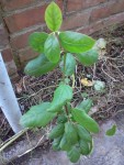 20141027_143752.jpg