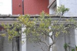 DSC_7762.JPG