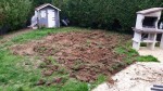 Je déterre une racine, puis une autre se cache dessous ^^ arrivé à 20 cm de profondeur je cherche plus :)