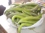 DSCN6097.JPG