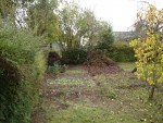 2008_DSC03569.JPG