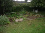 potager_aout2014 034.jpg
