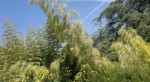 2015-04-29-1290 - Kopie.jpg