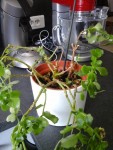 20150430_105728.jpg