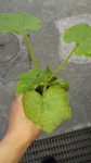 20150420_183614.jpg