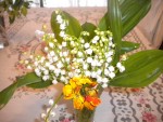 DSCN6082.JPG
