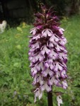 DSCF1175_1024.jpg