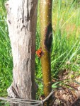 20150502_105411.jpg