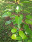 20150502_105026.jpg