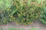 IMG_1432.JPG