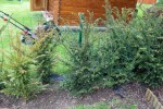 IMG_1437.JPG