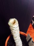 image6.jpeg