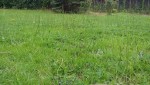 20150504_111910-mini.jpg
