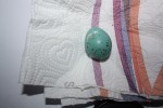 IMG_5386.JPG