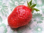 fraises 2 - Copie.JPG