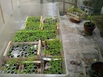 20150505_152438.jpg